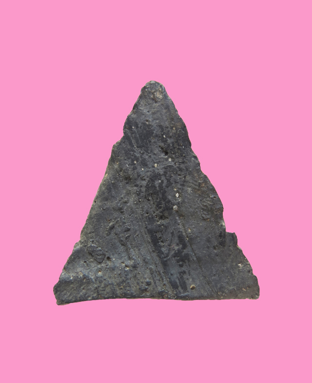 นางพญาข้างขีด เนื้อดิน