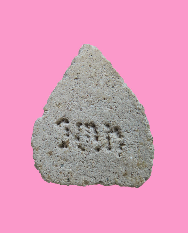 พระกลีบบัว เนื้อผง วตท