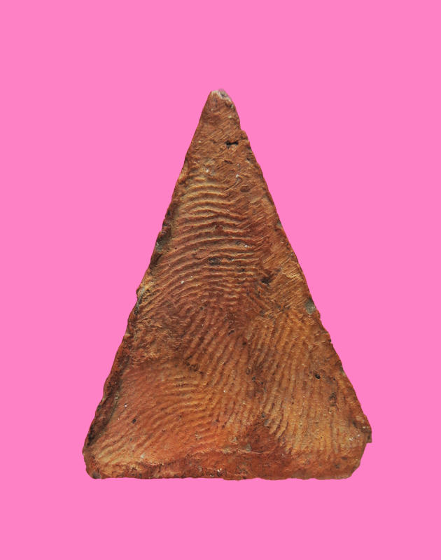 นางพญาเนื้อดิน มีเม็ดตา ไม่ทราบวัด