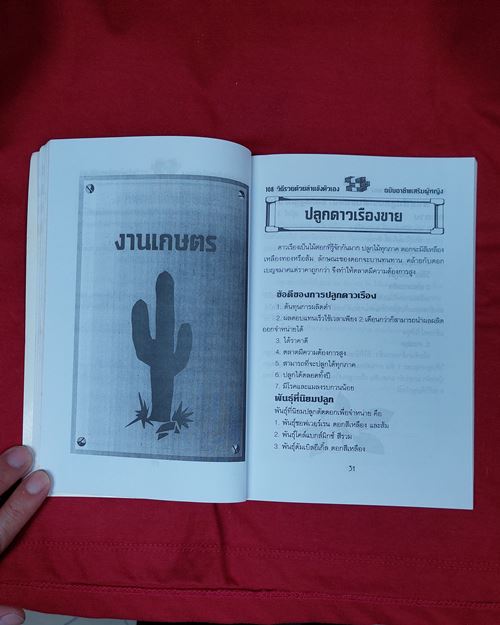 (ปิด39)หนังสือ108วิธี รวยด้วยลำแข้งตัวเอง โดยนายเปรี้ยวหวาน กว้าง14.5xยาว20.5ซ.ม.112หน้า(สภาพมือสอง)