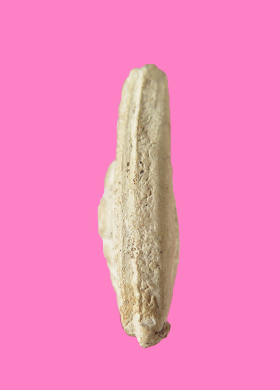 พระสังกัจจายซุ้มกระจัง เนื้อผง 