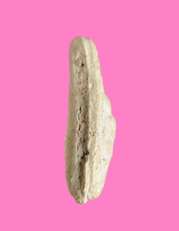 พระสังกัจจายซุ้มกระจัง เนื้อผง 