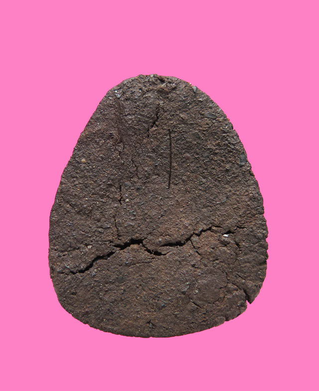 พระปิดตาเนื้อว่าน มีเกสา