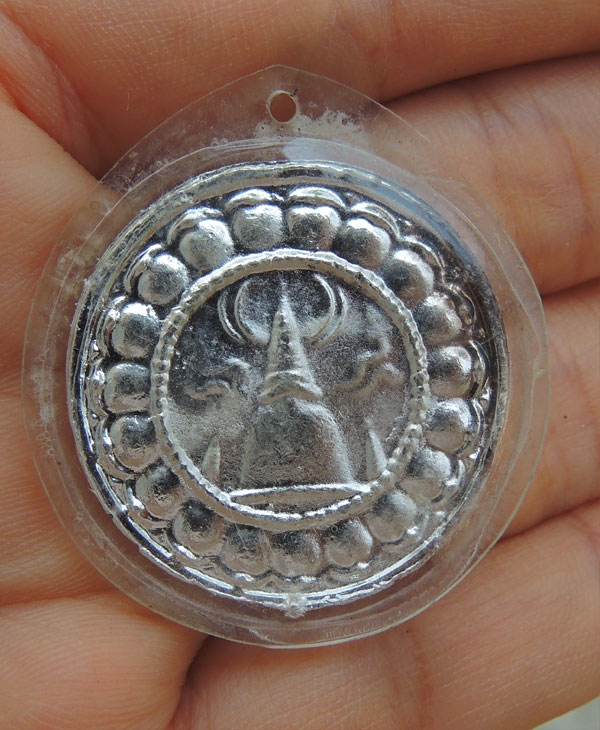 เนื้อเงิน  ไม่ทราบที่