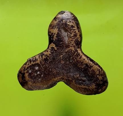 พระปิดตาสามเกลอ 