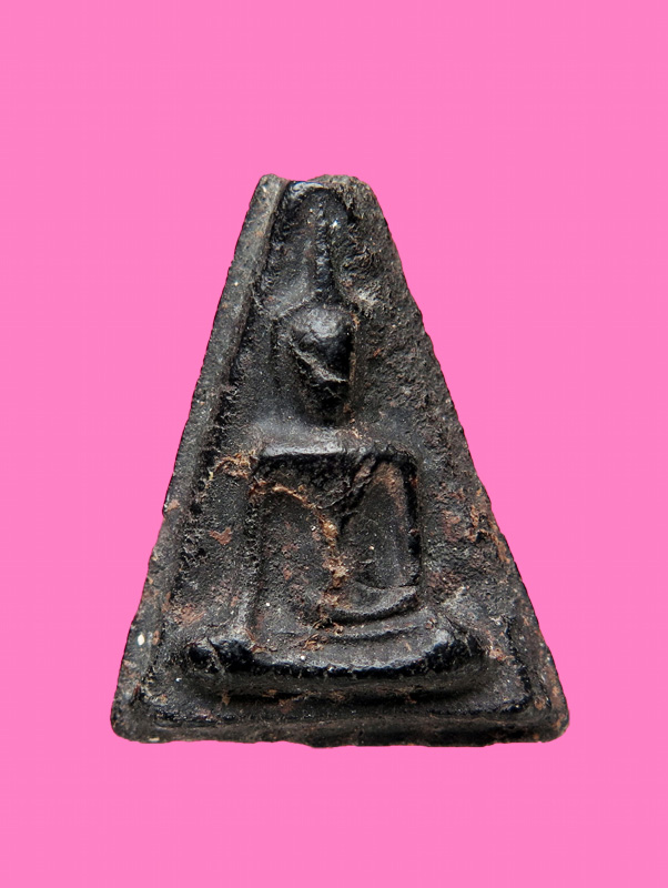 นางพญา หลังจาร นะ ตัวใหญ่ๆ