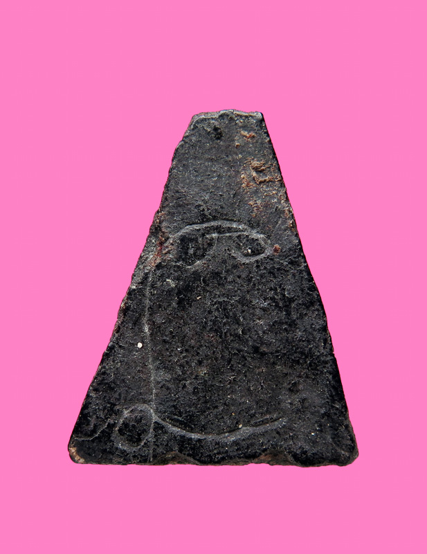 นางพญา หลังจาร นะ ตัวใหญ่ๆ