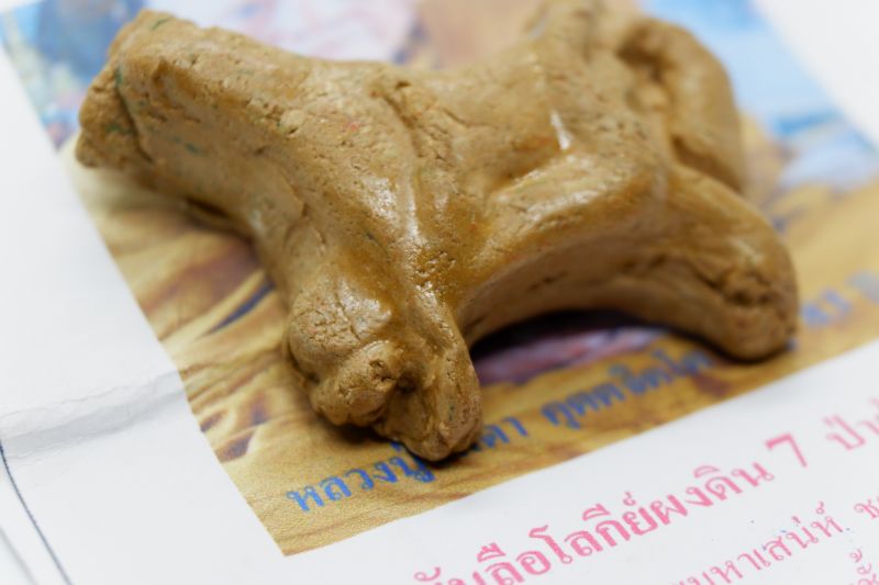 ม้าเสพนาง หลวงปู่จินดา หลังจาร เมตามหาเสนห์ ค้าข้ายดี