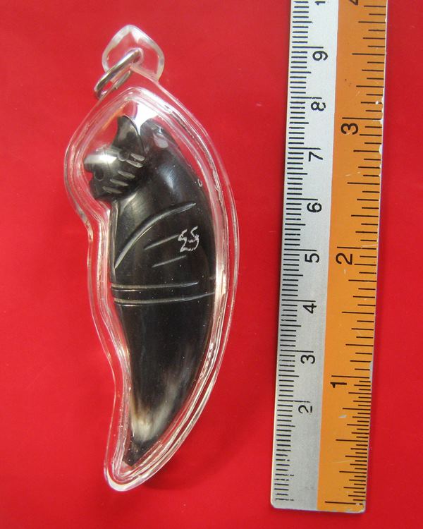 เสือเขี้ยวเขาควายแกะ รุ่นไตรมาศ 44 หลวงพ่อเปิ่น วัดบางพระ เข้มขลัง และหายากมากๆ พ.ศ.2544 