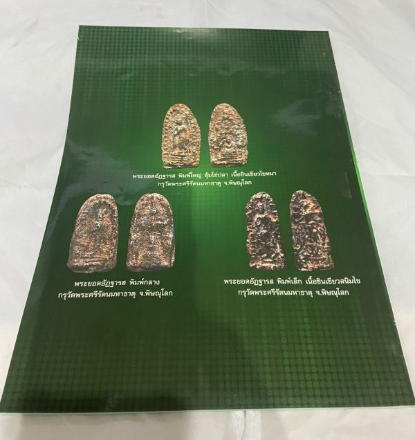 หนังสือ พระยอดอัฎฐารส จักรพรรดิแห่ง ชินเขียว