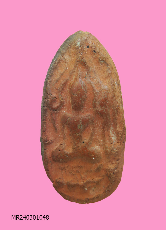 ขุนแผนไข่ผ่า หลังมีรอย