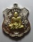 เหรียญพยัคฆ์เจ้าพระยา หลวงพ่อพัฒน์ วัดห้วยด้วน จ.นครสวรรค์ 