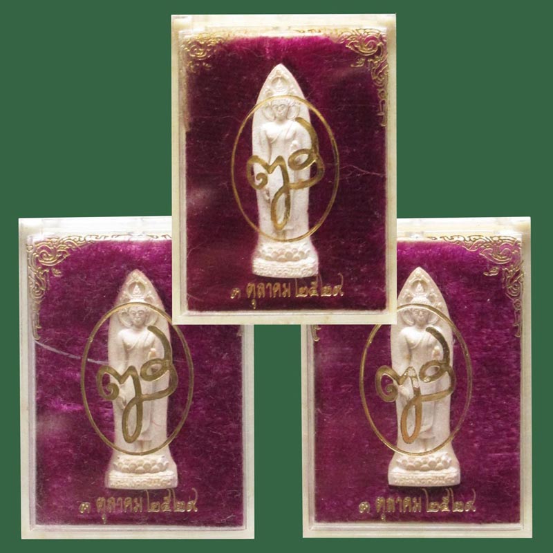 พระลีลามงคลนิมิตรหลัง-ญส-สมเด็จพระญาณสังวรฯ ปี29 วัดบวรนิเวศวิหาร กรุงเทพมหานคร