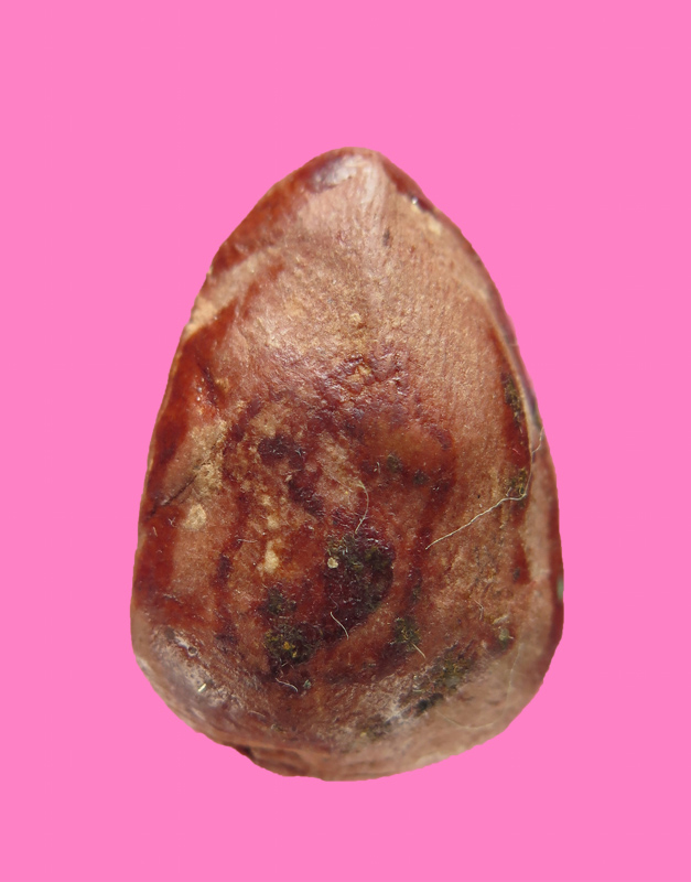 เจ้าแม่กวนอิม เนื้อผง 