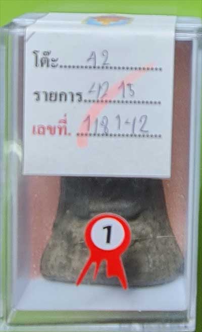 พระโคนสมอ ชินเขียว ติดรางวัลที่ 1 องค์ที่ 2