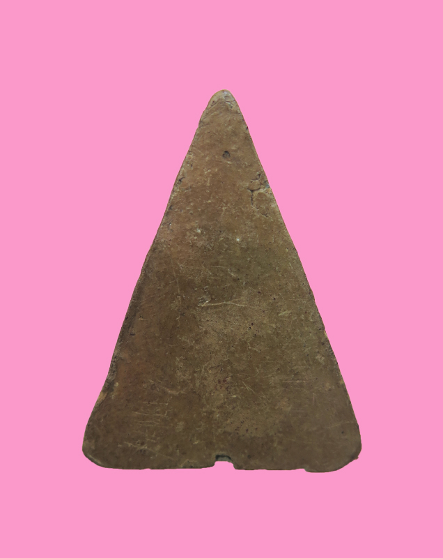 นางพญาเนื้อดิน