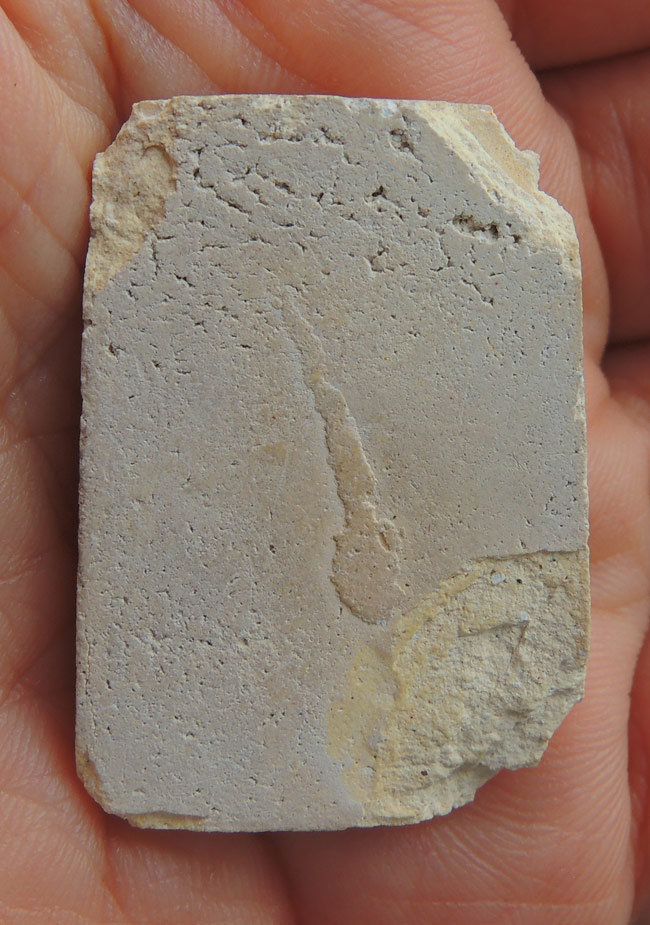 สมเด็จเกศไชโย สร้างเขื่อน พ.ศ. 2495 