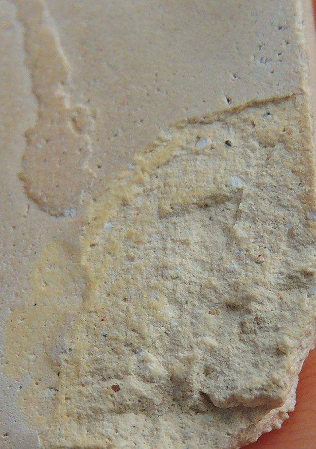 สมเด็จเกศไชโย สร้างเขื่อน พ.ศ. 2495 