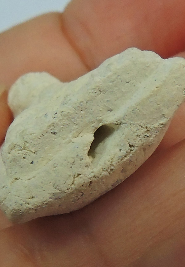 หลวงปู่ทวด เนื้อขาว