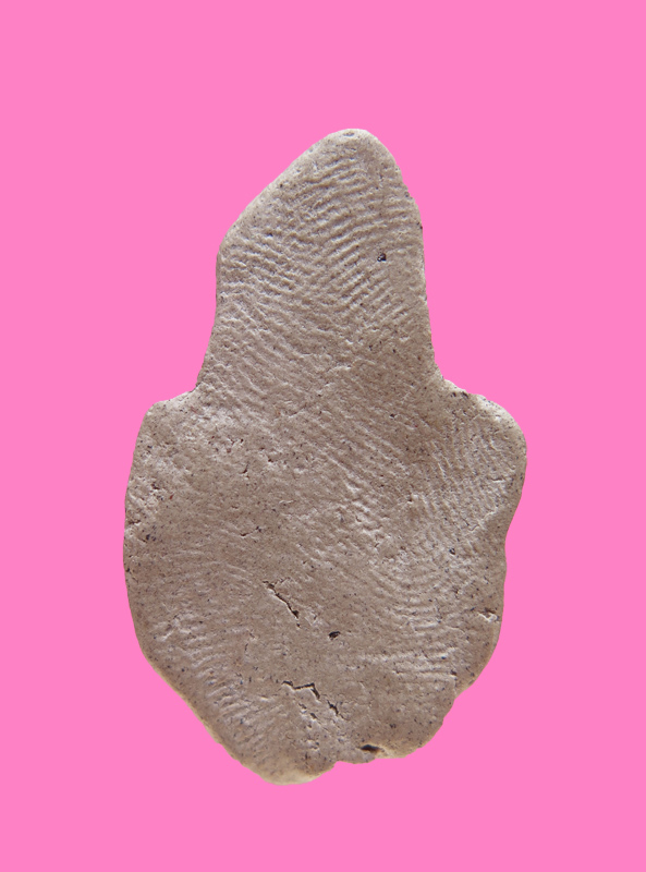 เศียรพ่อแก่ หน้าสิงห์ เนื้อผง