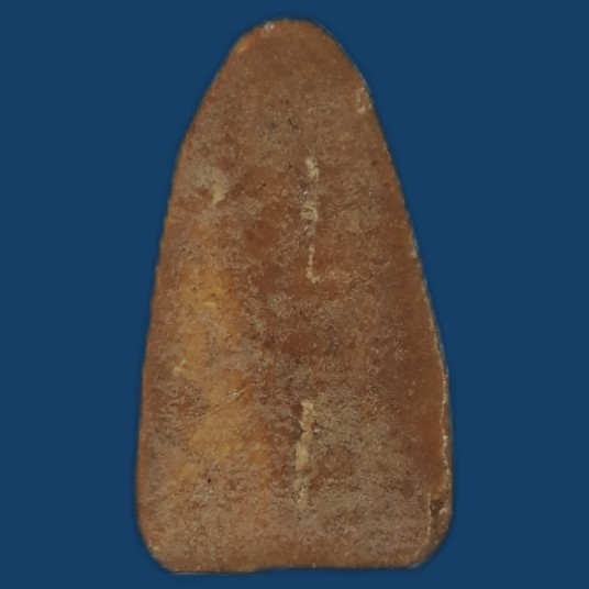 พระเนื้อผงแก่น้ำมัน ดูคล้ายพิมพ์วัดสามปลื้ม ไม่ทราบเกจิ เนื้อพระจัดมาก