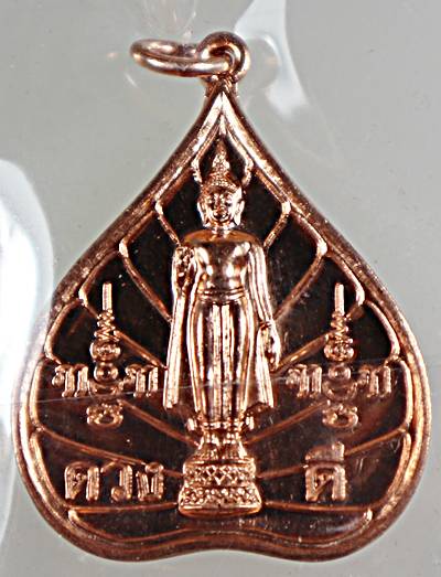 ๒๐ เหรียญพระร่วงโรจนฤทธิ์์ วัดพระปฐมเจดีย์  รุ่นดวงดี