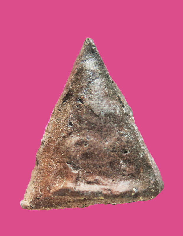 นางพญาเนื้อดิน เก่า แห้ง