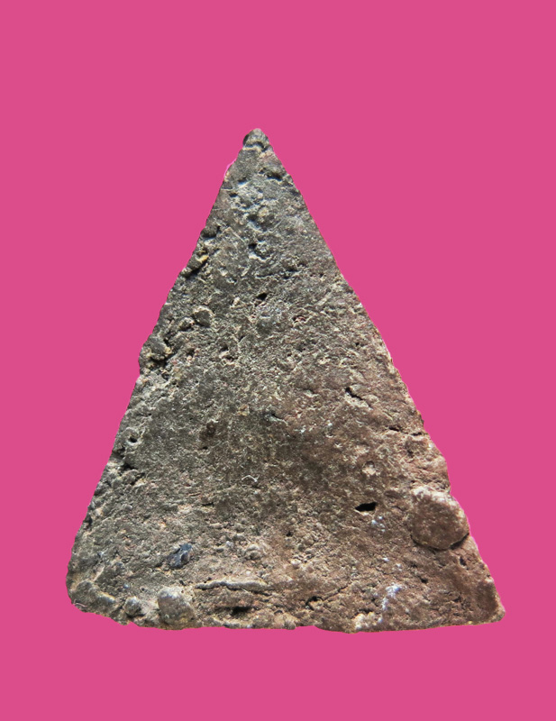 นางพญาเนื้อดิน เก่า แห้ง