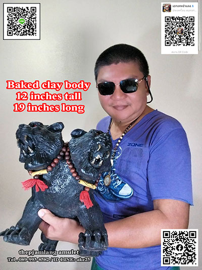 ราชาพยัคฆ์ 2 หัว ขนาดบูชา 19 นิ้ว หลวงพ่อเมียน วัดบ้านจะเนียง บุรีรัมย์ ปี 2567