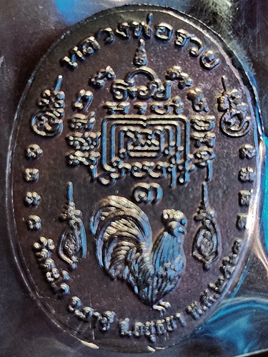 วัดตะโก อยุธยา เหรียญเม็ดแตง หลวงพ่อรวย  ปี 2563