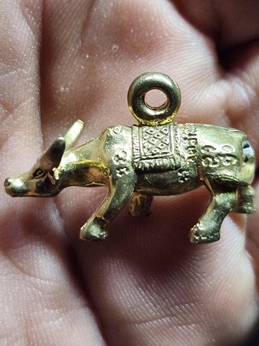 วัดสามร้อยยอด ประจวบคีรีขันธ์ ควายธนู ปี 51