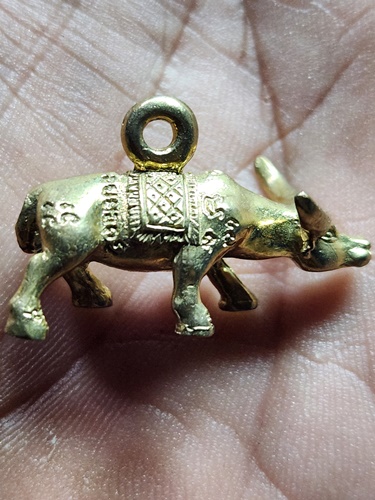 วัดสามร้อยยอด ประจวบคีรีขันธ์ ควายธนู ปี 51