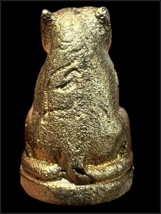 พยัคฆ์เขี้ยวดาบ รุ่นยอดขุนพล วัดปริวาส จ.กรุงเทพ ปี ๒๕๕๙