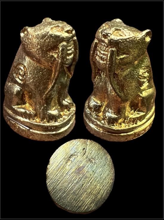 พยัคฆ์เขี้ยวดาบ รุ่นยอดขุนพล วัดปริวาส จ.กรุงเทพ ปี ๒๕๕๙