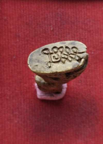 เสือเนื้อทองเหลือง ไม่ทราบที่