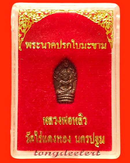 พระนาคปรกใบมะขาม หลวงปู่หลิว วัดไร่แตงทอง รุ่นแรก ปี 2535 สวยมากค่ะ