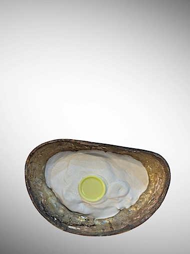 พระพิฆเนศ (วิฆณุราชายะ-ปี๊สสะหนู) คณะวิทยาศาสตร์ มหาวิทยาลับแม่โจ้ เชียงใหม่