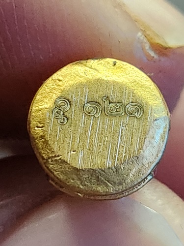 วัดธรรมชัยมงคล อ.แม่แตง จ.เชียงใหม่ น้องข้าวจี่ รุ่นมีเงินล้าน 