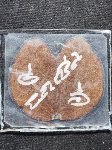  วัดพลวง จันทบุรี ใบกาหลงเล็ก