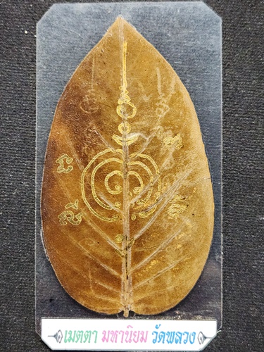  วัดพลวง จันทบุรี ใบสาริกา