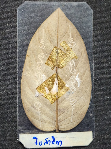  วัดพลวง จันทบุรี ใบสาริกา