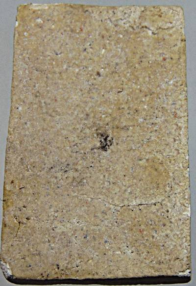 ๒๐ พระสมเด็จปรกโพธิ์