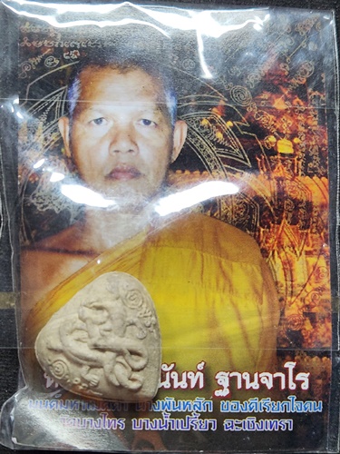 วัดบางไทร จ.ฉะเชิงเทรา จิ้งจกหัวใจนางอกแตก หลวงพ่อสุนันท์