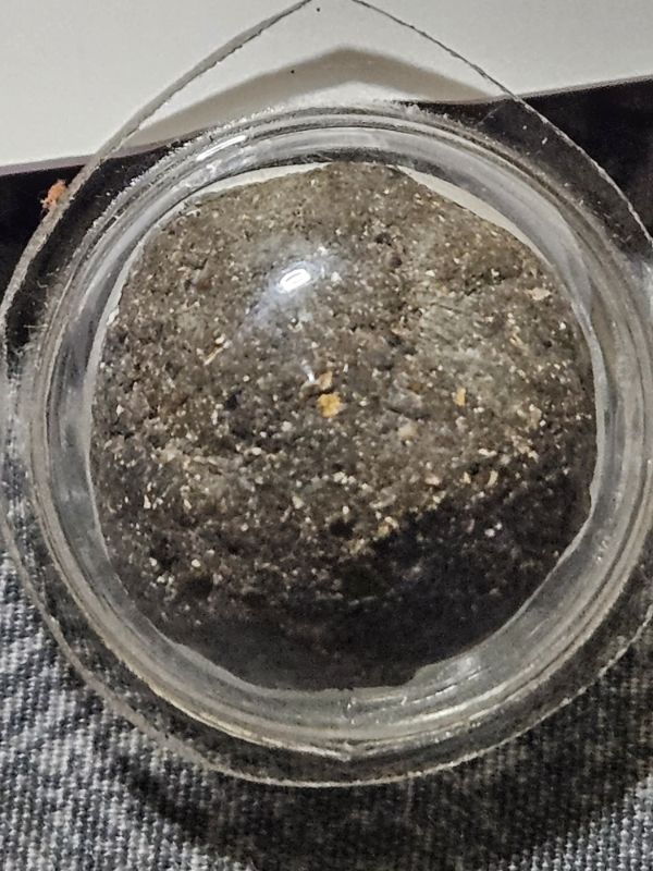 ลูกอมผงพราย59ตน อาจารย์เปล่ง บุญยืน