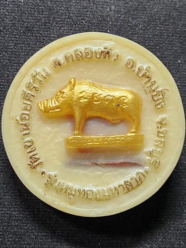 วัดเขาน้อยคีรีวัน ชลบุรี จันทร์ลอย หลวงพ่อโทน กันตสีโล  บารมี84 รุ่นหมูทองมหาลาภ เนื้อเรซิ่น 