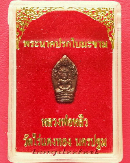 พระนาคปรกใบมะขาม  หลวงปู่หลิว วัดไร่แตงทอง รุ่นแรก ปี 2535 สวยมากค่ะ