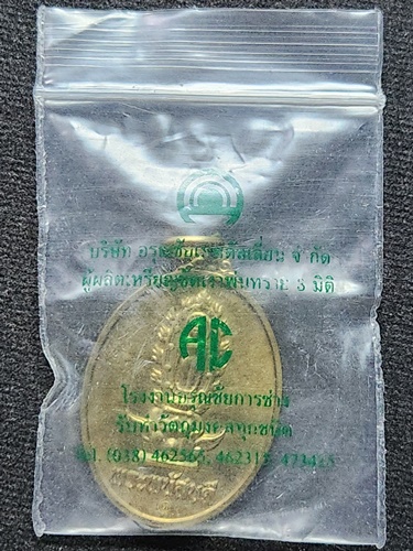 หอพระพนัสบดี ชลบุรี เหรียญ "พระพนัสบดี" ที่ระลึกงานพุทธาภิเษก พระพนัสบดี 2558