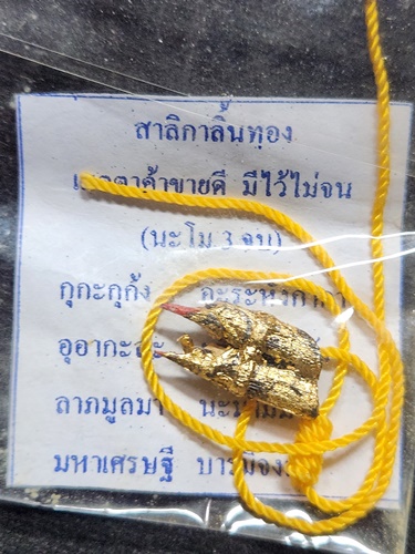 วัดพลวง ต.กระทิง อ.เขาคิชฌกูฎ จ.จันทบุรี สาริกาลิ้นทองไม้มงคล