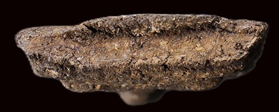 พระผงหลัง ยันต์ห้า ไม่ทราบที่ เคาะเดียว 