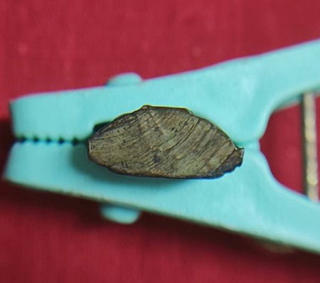 รูปหล่อพระสังฆจายไม่ทราบที่